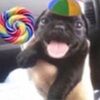 dianao_o